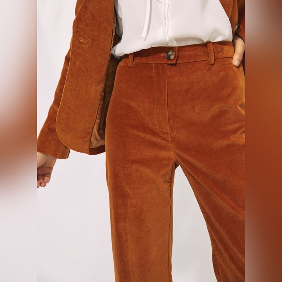 ARITZIA Wilfred Francesca Velvet Pants Fit Flare Hemmed/Altered Sz 2 Inseam 27.5 - Picture 2 of 10